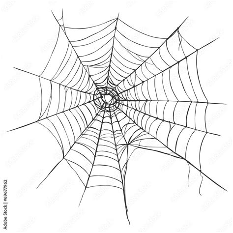 Vector Spider's Web on White Background Stock Vector | Adobe Stock