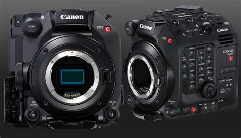 Canon EOS C300 Mark III and C500 Mark II Firmware Updates Released | CineD