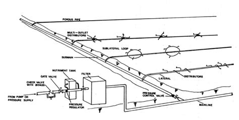 Fish production in irrigation canals A review