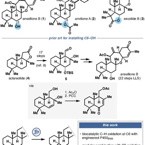 Representative examples of C6-oxidized terpenoids and a lack of ...