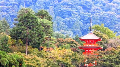 Wanderlust: Travel to Japan: Kyoto (Transportation, Accommodation, Attractions)