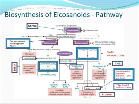 EICOSANOIDS