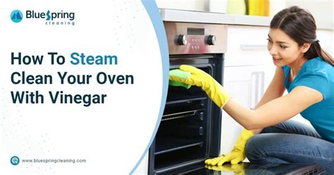 How To Steam Clean Your Oven With Vinegar | Blog