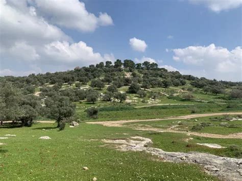 10 Best Trails and Hikes in Israel | AllTrails