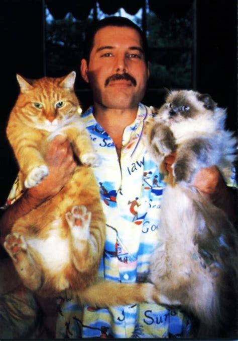 13 Rare Photos Of Freddie Mercury And His Cats