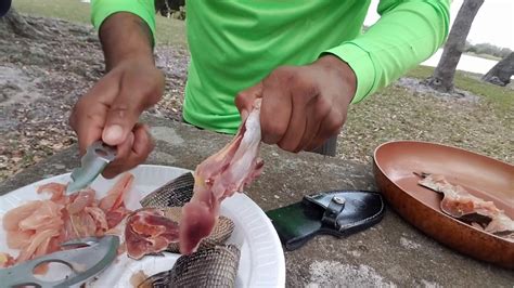 How to boneless filet iguana meat - YouTube