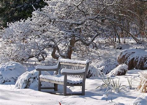 En région froide, la neige est la meilleure protection hivernale! - Jardinier paresseux