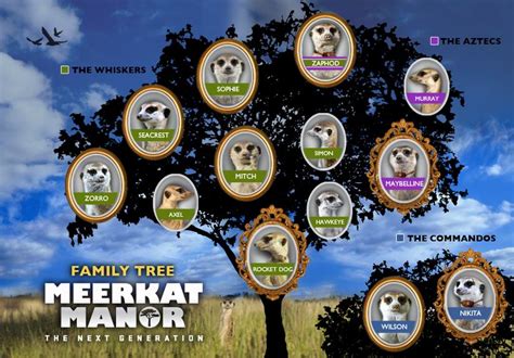 **Meerkat Manor**