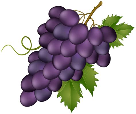 Grape Pink Transparent PNG Clip Art Image | Clip art, Art images, Free clip art