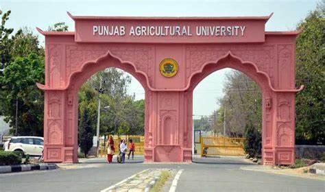 Punjab Agricultural University, Ludhiana | 'Monomousumi'