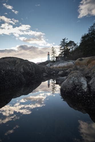 Lighthouse Park Photo | 2019 Hiking Photo Contest | Vancouver Trails