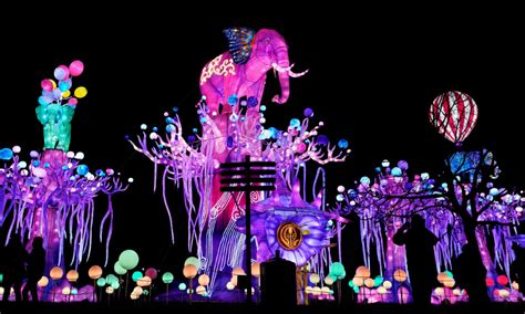 Discover the Secret Life of Dublin Zoo at Night with the Return of Wild Lights | Travel 2 Ireland