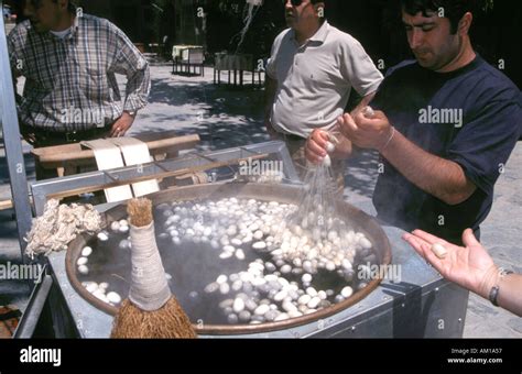 Process Of Making Silk