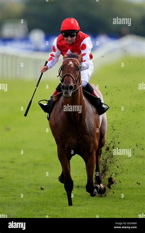 Horse Racing - Ripon Racecourse Stock Photo - Alamy