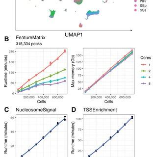 Scalable analysis of scATAC-seq data. (A) UMAP projection of the full ...