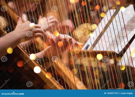 Harp Player during a Classical Concert Music Stock Image - Image of hand, harp: 164957753