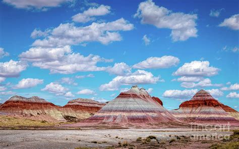 Navajo County