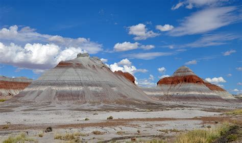 Petrified Forest National Park, USA [4288x2536] : r/EarthPorn