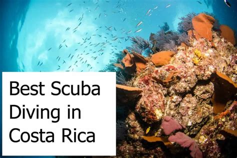 Guide to find the Best Scuba Diving Locations in Costa Rica