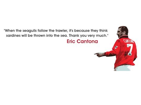 Eric Cantona Seagull Quotes. QuotesGram