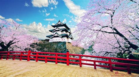 Hirosaki Castle in Hirosaki | Expedia.co.uk