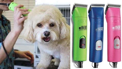 What are the best Dog Grooming Clippers?