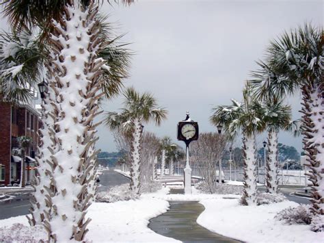 13 Times Snow Made South Carolina Beautiful