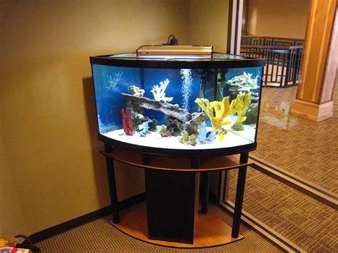 Fish Aquarium Gallery of Aquatic Designs | Aquarium Maintenance | Grand Forks, ND