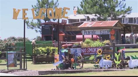 Destination Texas: Yesterland Farm opens for ‘Summer Fun Days’ | KTAB - BigCountryHomepage.com