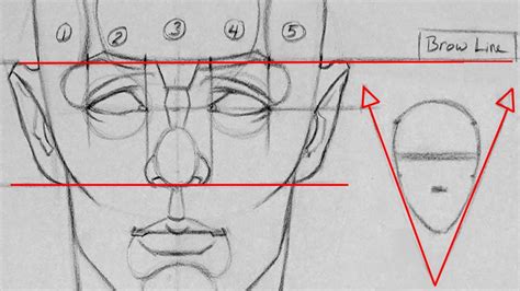 Drawing Proportions of the Head and Face | Getting the Fundamentals Down - YouTube