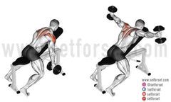 Cable Rear Delt Fly: How To, Muscles Worked, & Variations - SET FOR SET