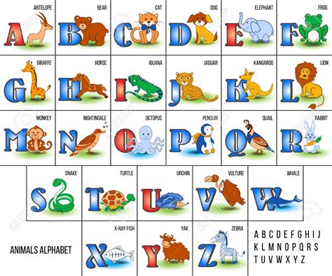 Alphabet De Zoo Mignon Avec Des Animaux De Bande Dessinée De L'illustration Vectorielle De A À Z ...