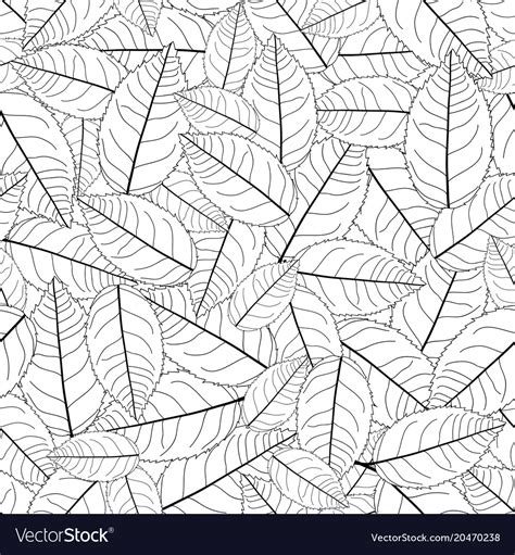 Camellia leaves outline on white background Vector Image