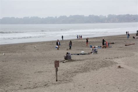 Stinson Beach in Stinson Beach, CA - California Beaches