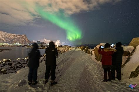 Northern Lights Photo Tour | Lofoten Lights