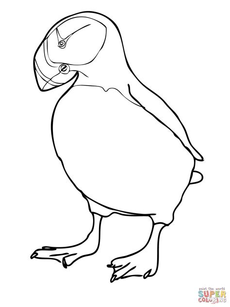 Puffin Coloring Pages - Coloring Home