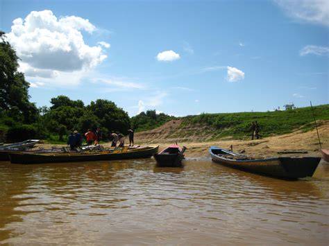 Wandering Jenny: Las Pampas, wildlife and more wildlife!