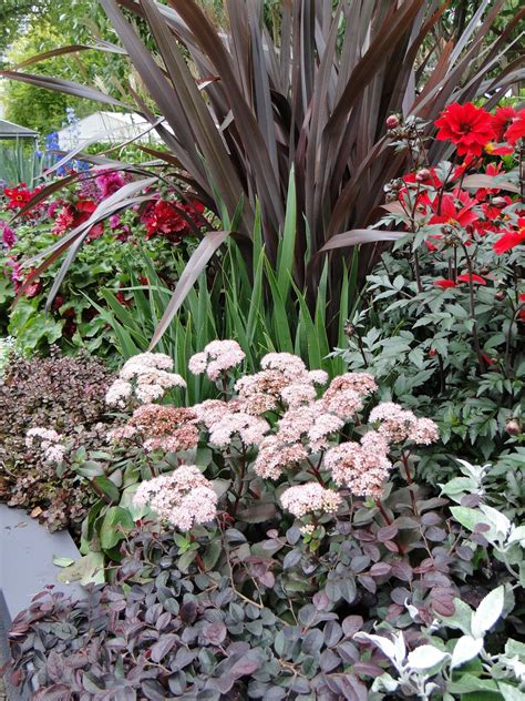 Burgundy Plants for Stunning Garden Design