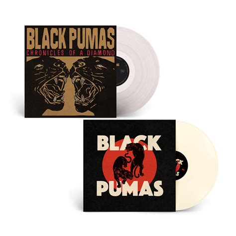 Black Pumas - 'Chronicles of a Diamond' + 'Black Pumas' (Vinyl Bundle) | Shop the ATO Records ...