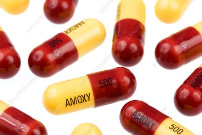 Amoxicillin capsules 500mg - Stock Image - M625/1673 - Science Photo Library