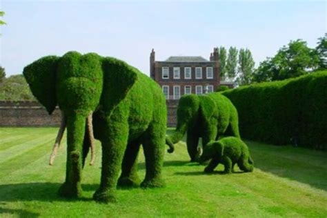 Elephant Garden photo on Sunsurfer