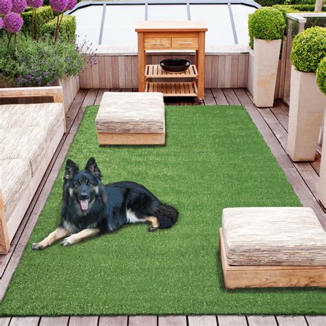 a black and white dog laying on top of a green grass covered floor next to potted plants