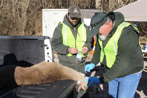 Hunters across county bring in deer for mandatory CWD testing - Barry County Advertiser