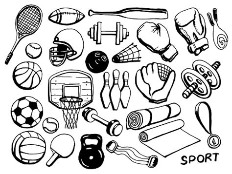 Sports Equipment Vector Clipart Isolated On Transparent Background - Arte vetorial de stock e ...