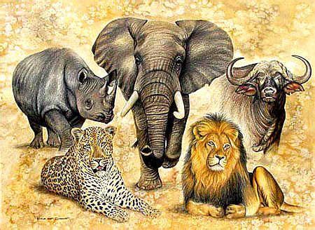 Big Five of South Africa