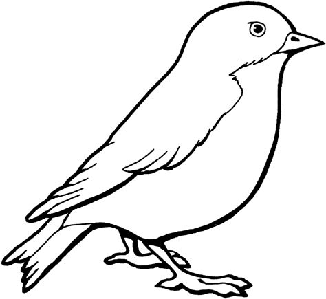 Birds Coloring Pages to Knowing the Kind of Birds Name | Simple bird ...