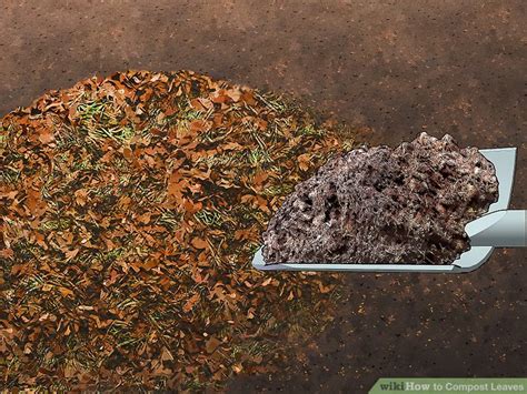 How to Compost Leaves: 14 Steps (with Pictures) - wikiHow