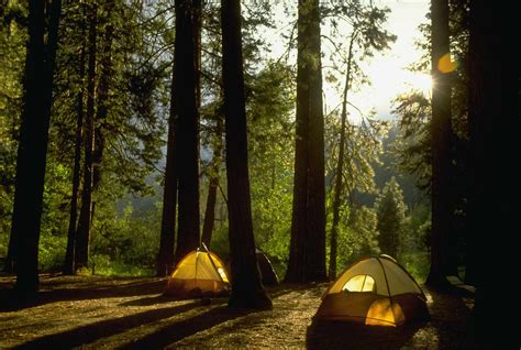 Yosemite Campgrounds: What You Need to Know