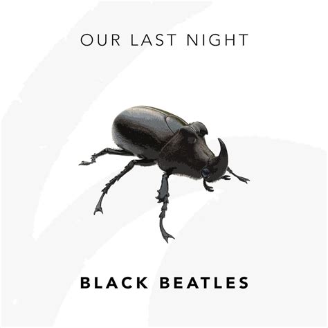 Our Last Night - Black Beatles (Rae Sremmurd Cover) [Single] (2017 ...