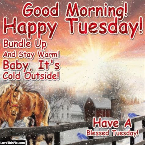 Good Morning Happy Tuesday GIF - GoodMorning HappyTuesday ...